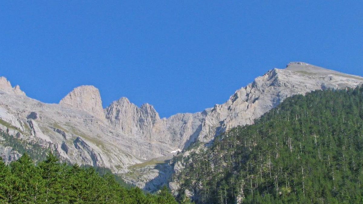 Rocky mountain peaks rise above a dense green pine forest under a bright blue sky in an alpine landscape.