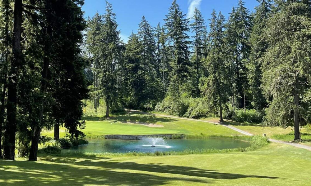 Sunny golf course with a small round pond and fountain, bordered by tall evergreen trees and a winding path.