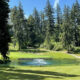 Sunny golf course with a small round pond and fountain, bordered by tall evergreen trees and a winding path.