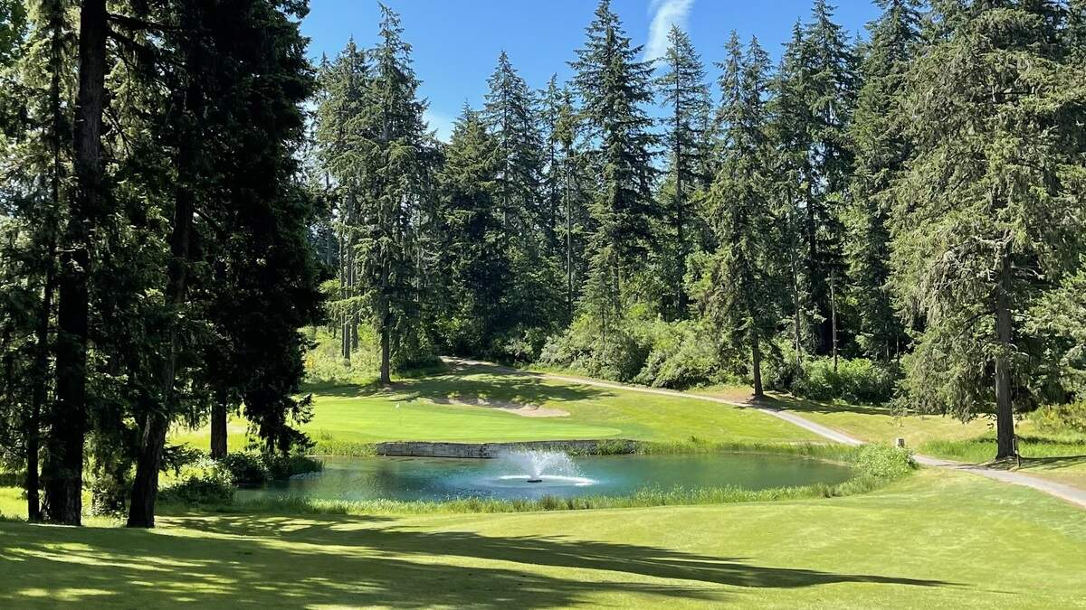 Sunny golf course with a small round pond and fountain, bordered by tall evergreen trees and a winding path.