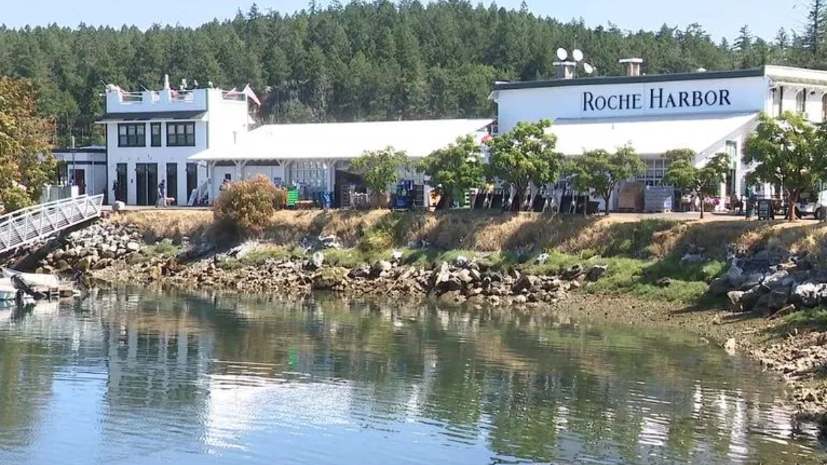 Roche Harbor waterfront with white buildings, trees, and calm harbor water reflecting the scene.