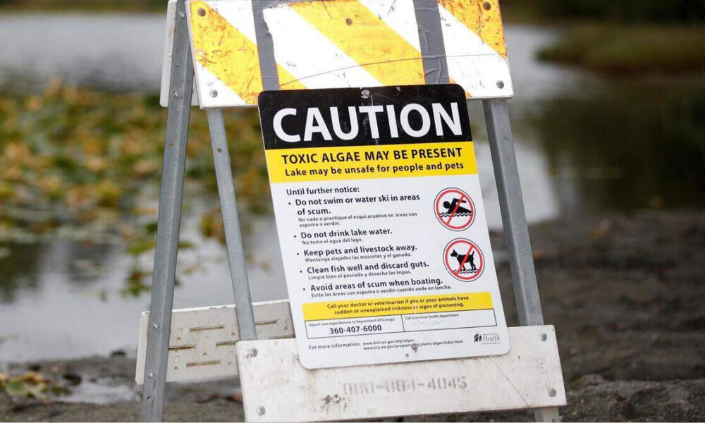 Caution sign near a lake warning that toxic algae may be present and the lake may be unsafe for people and pets.