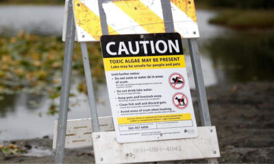 Caution sign near a lake warning that toxic algae may be present and the lake may be unsafe for people and pets.