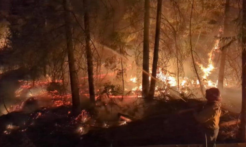 Night scene of a forest fire with orange flames and smoke, a person standing in the foreground watching the blaze.