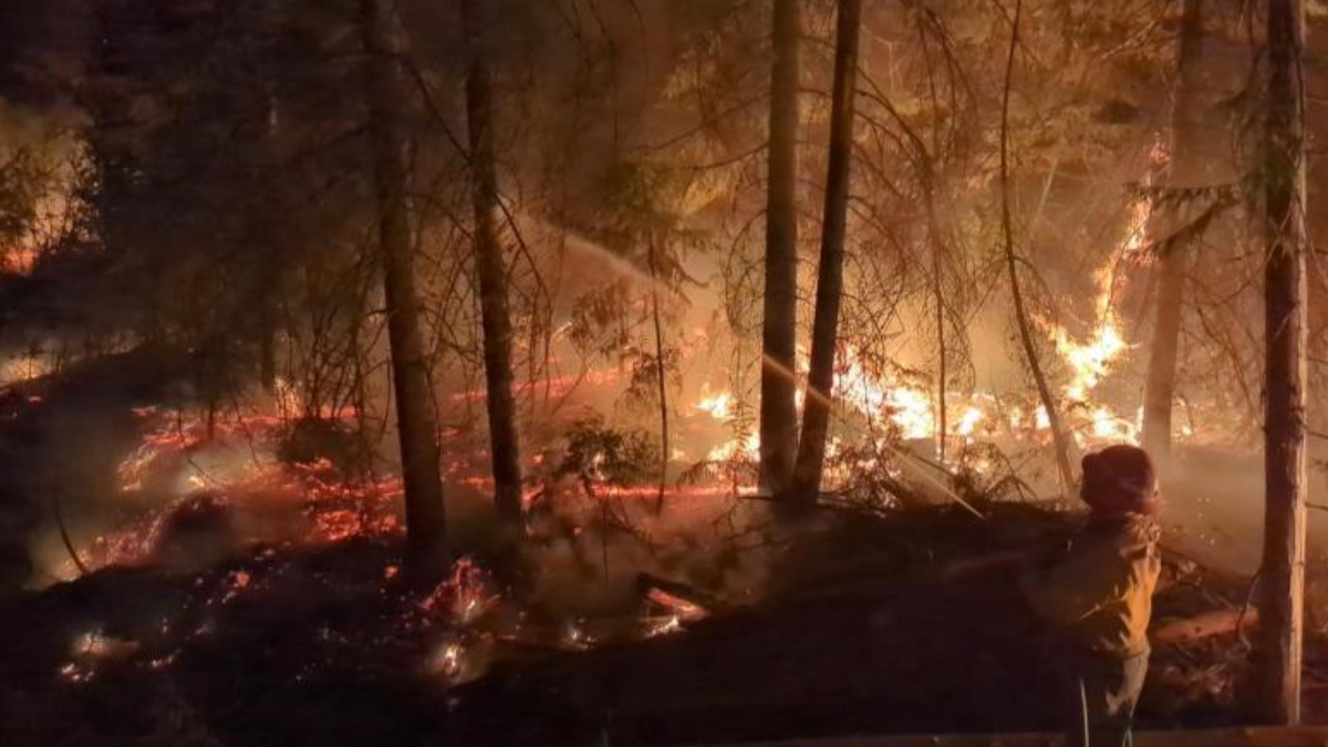Night scene of a forest fire with orange flames and smoke, a person standing in the foreground watching the blaze.