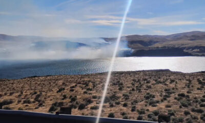Desert-like shoreline overlooking a bright lake with rolling hills and a diagonal sun flare across the scene.