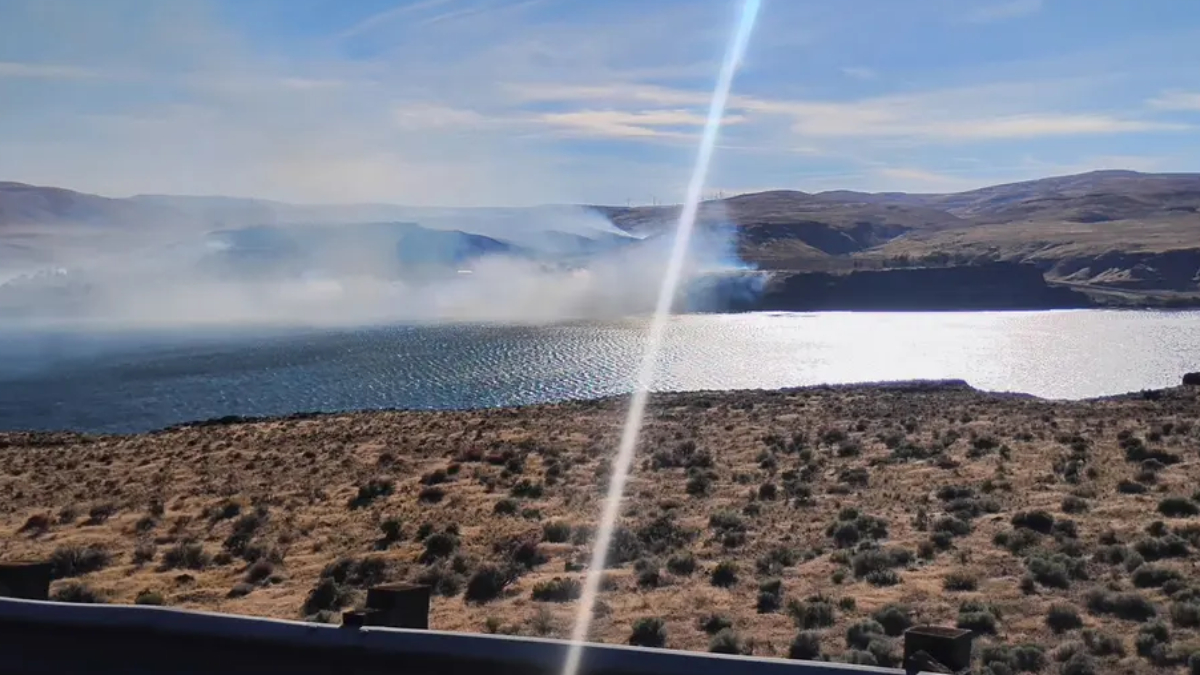 Desert-like shoreline overlooking a bright lake with rolling hills and a diagonal sun flare across the scene.