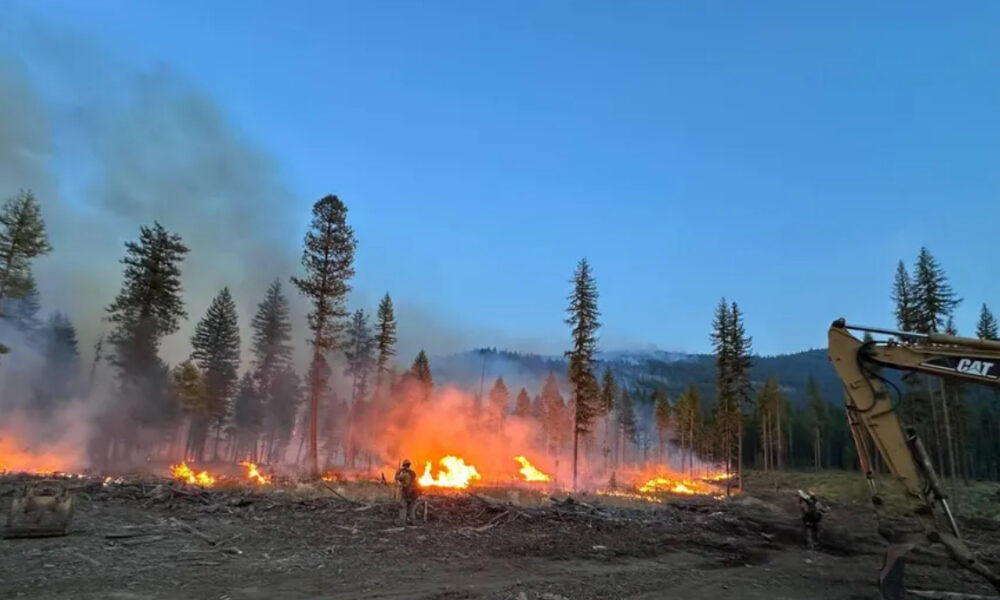 Forest fire in a burned clearing with flames, smoke, and tall pines in the background, a construction excavator on the right nearby guard