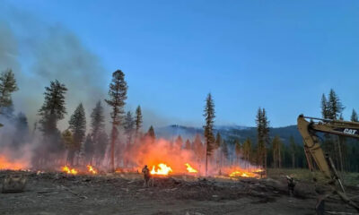Forest fire in a burned clearing with flames, smoke, and tall pines in the background, a construction excavator on the right nearby guard