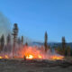 Forest fire in a burned clearing with flames, smoke, and tall pines in the background, a construction excavator on the right nearby guard