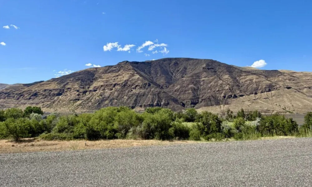 Wide landscape of arid mountains under a bright blue sky, with a line of green shrubs in the foreground.