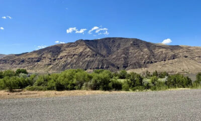 Wide landscape of arid mountains under a bright blue sky, with a line of green shrubs in the foreground.