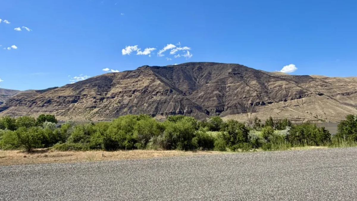 Wide landscape of arid mountains under a bright blue sky, with a line of green shrubs in the foreground.