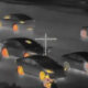 Night-vision style scene of multiple cars in a street chase, with orange-lit rims and a crosshair reticle overlaid in the center of the frame.