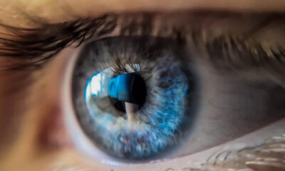 Close-up of a blue eye with a blue contact lens and bright reflection in the cornea, high detail.