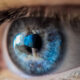 Close-up of a blue eye with a blue contact lens and bright reflection in the cornea, high detail.