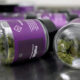 Cannabis buds in a clear glass jar with purple-labeled containers in the background on a metal surface.