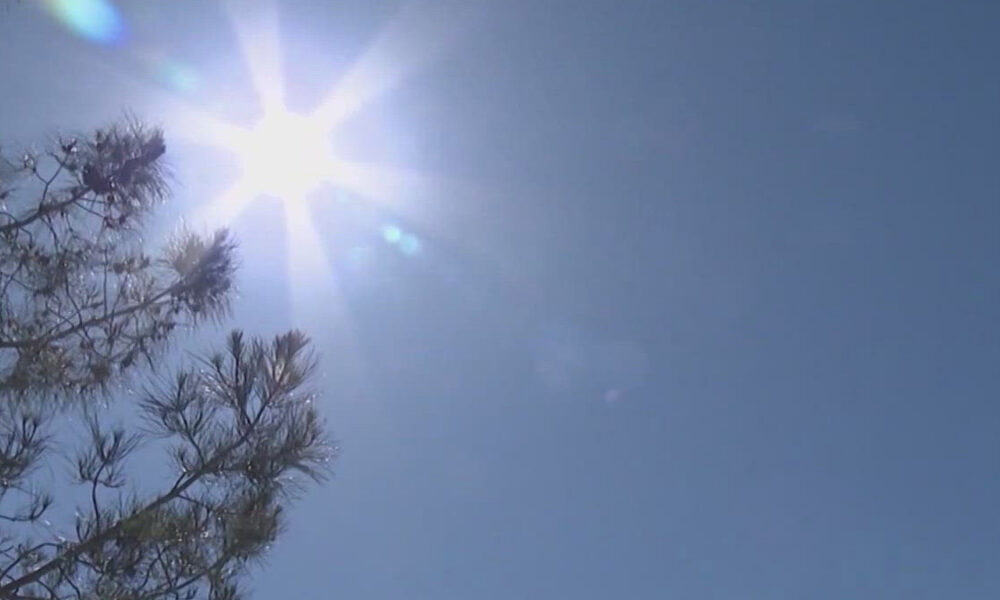 Bright sun in a clear blue sky with tree branches in the lower left corner (sun glare).