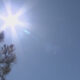 Bright sun in a clear blue sky with tree branches in the lower left corner (sun glare).