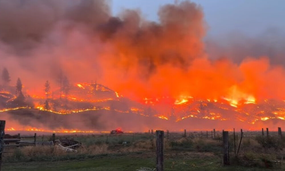 Wildfire burning across a grassy hillside at dusk, with flames and smoke rising behind a wooden fence in a rural field.
