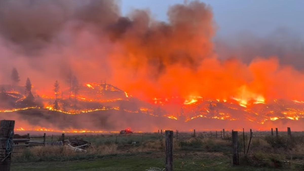 Wildfire burning across a grassy hillside at dusk, with flames and smoke rising behind a wooden fence in a rural field.