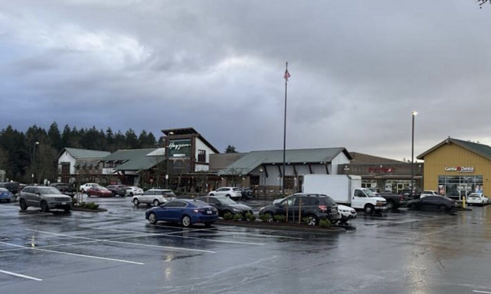 Shopping plaza with a row of stores, a wet parking lot, and several cars; an American flag on a tall pole stands near the center under gray clouds.