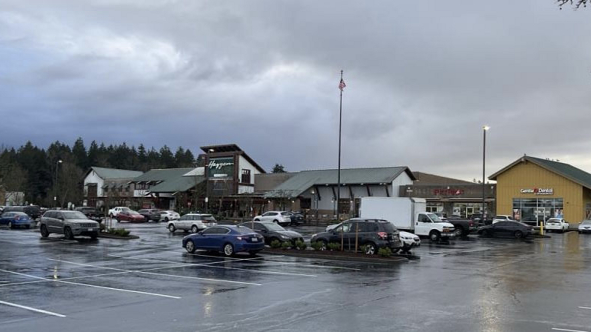 Shopping plaza with a row of stores, a wet parking lot, and several cars; an American flag on a tall pole stands near the center under gray clouds.
