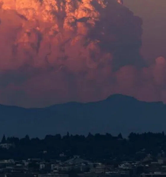 Seattle skyline at dusk with Space Needle against pink-orange clouds and distant hills, city lights below.