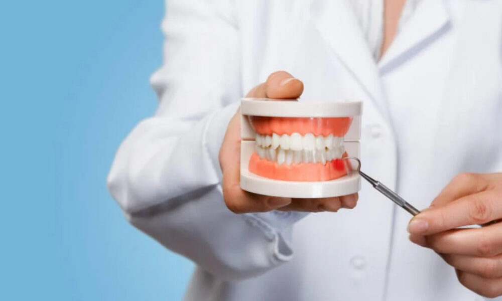 Dental teaching model showing upper and lower teeth held by a clinician with a dental explorer tool nearby.