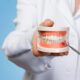 Dental teaching model showing upper and lower teeth held by a clinician with a dental explorer tool nearby.