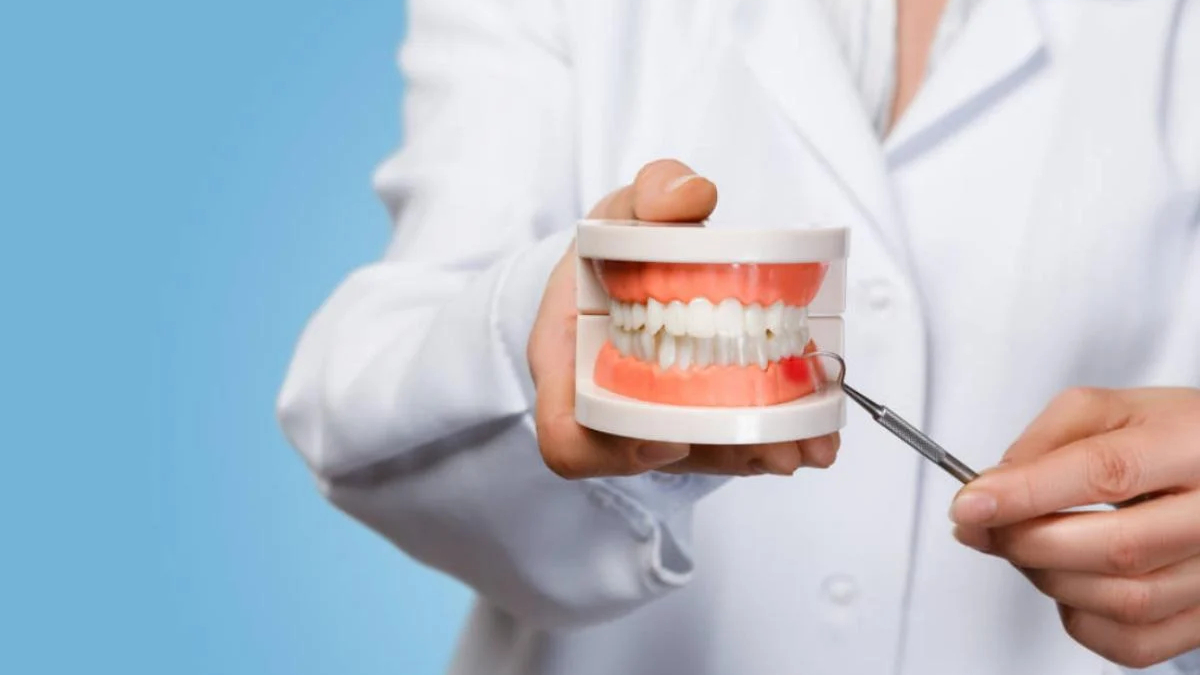 Dental teaching model showing upper and lower teeth held by a clinician with a dental explorer tool nearby.