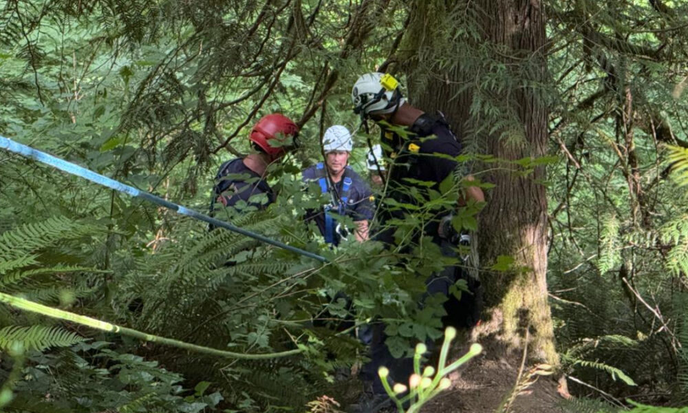 Three rescuers in helmets and harnesses stand in a dense forest, handling a blue rope near a large tree.