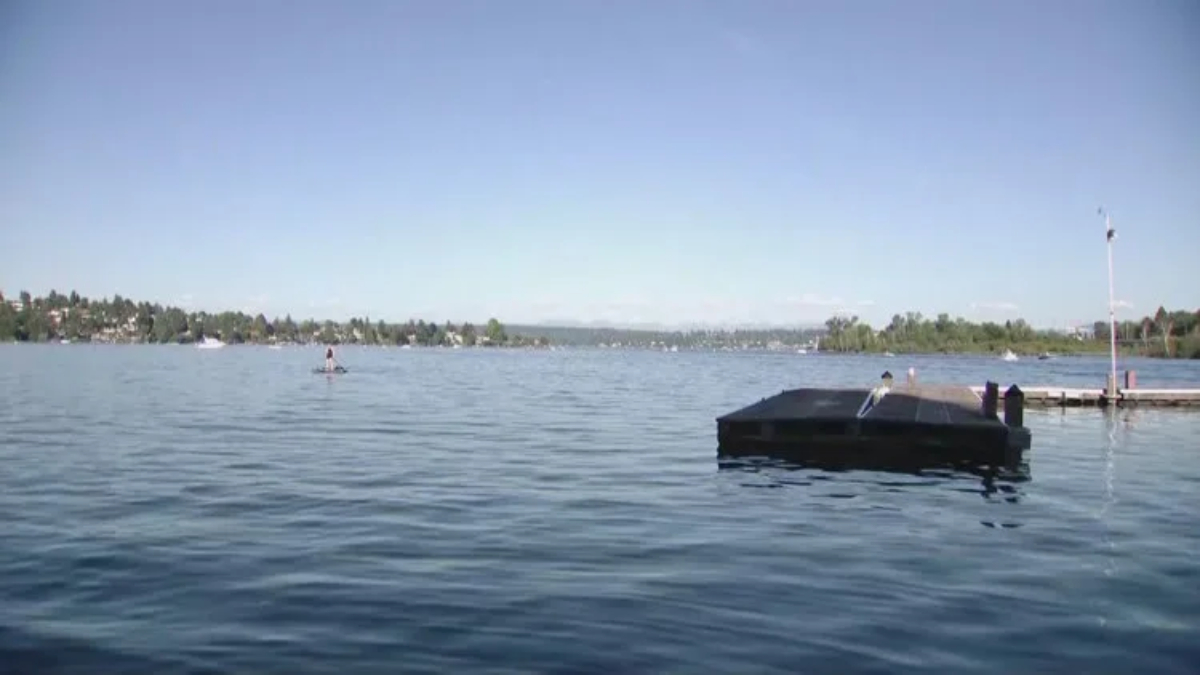 Calm lake scene with a wooden dock on the right and a paddleboarder in the distance, shore lined with trees and houses under a clear blue sky.