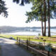 Sunlit lakeside park with a paved path, wooden fence, and tall trees, overlooking a calm lake with a long wooden pier.