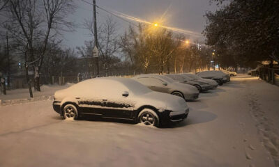 Nighttime street scene with a row of cars covered in fresh snow and glowing streetlights above.