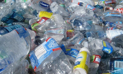 Pile of crushed plastic water bottles tangled in a recycling/trash heap, showing litter and waste cluttering a surface.