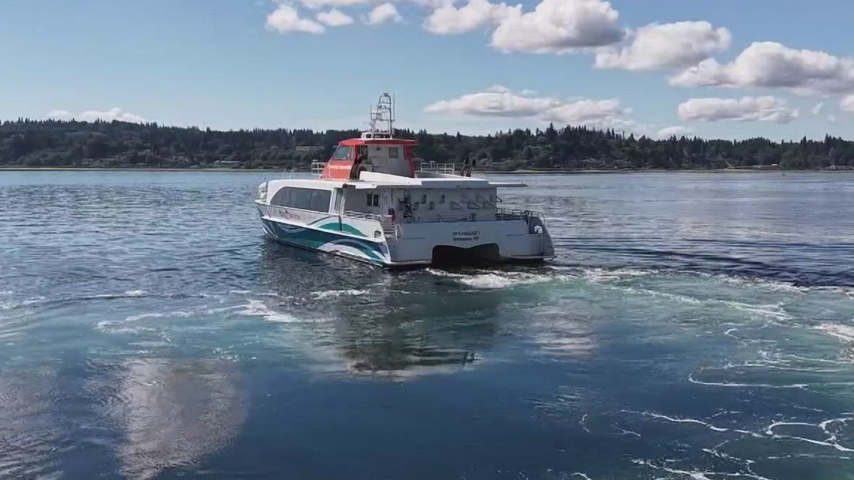 Passenger ferry boat sailing on calm blue water with shoreline and trees in the background under a clear sky.