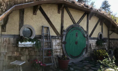 Hobbit-style cottage wall with a large round green door, timber beams, and potted plants.