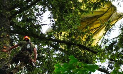 Rescuer in helmet and harness climbs a tall mossy tree, ropes secured, with a large yellow tarp tangled in the branches above.
