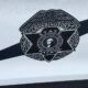 Close-up of a Washington State Patrol badge emblem on a white vehicle with a bold black diagonal stripe behind it.