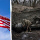 Flag of the United States waving on the left, with a damaged tank and a soldier in a wooded area on the right.