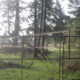 Chain-link fence gate enclosing a grassy, wooded area with fallen branches and tall trees in the background; a yellow sign on a post to the left.