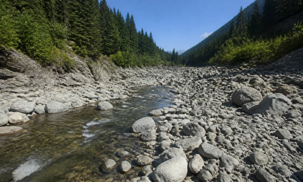Rugged riverbed with large gray rocks and clear flowing water flanked by forested slopes under a blue sky