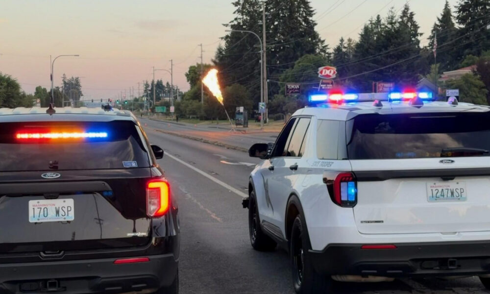 Two police SUVs with flashing blue and red lights parked on a road at dusk, flames rising in the distance as an orange torch or flare is visible on the street.