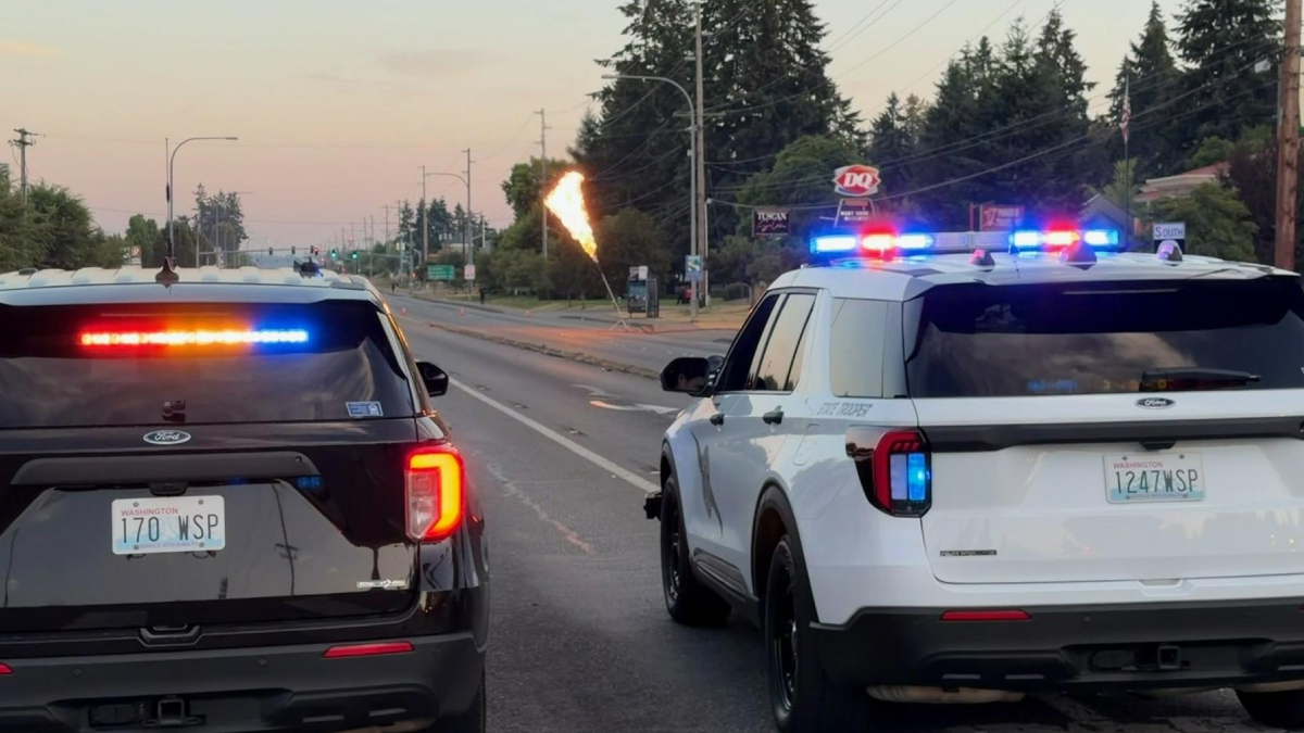 Two police SUVs with flashing blue and red lights parked on a road at dusk, flames rising in the distance as an orange torch or flare is visible on the street.