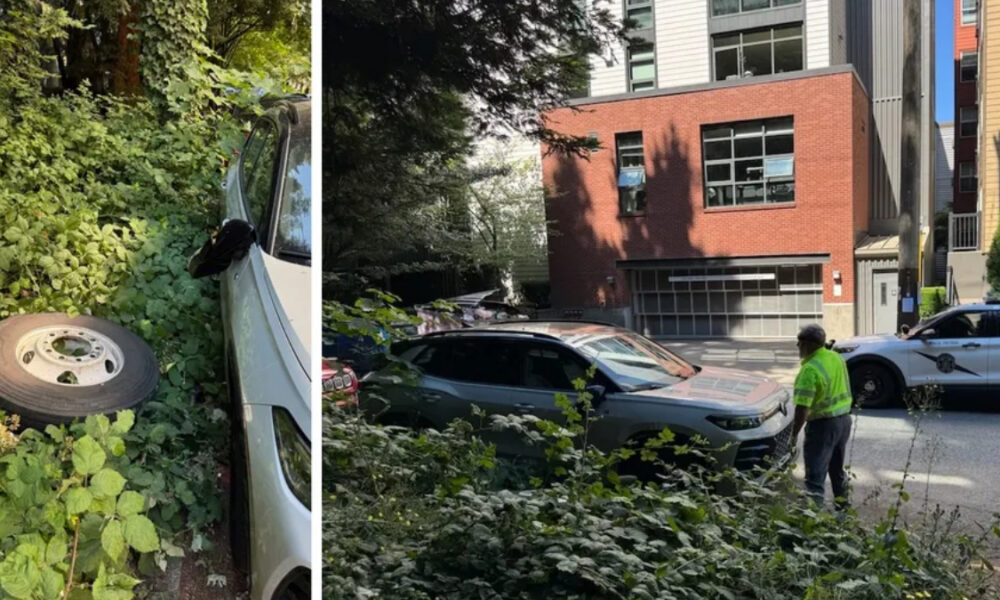 Left: white car wedged in dense bushes with a spare tire beside it.