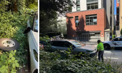 Left: white car wedged in dense bushes with a spare tire beside it.