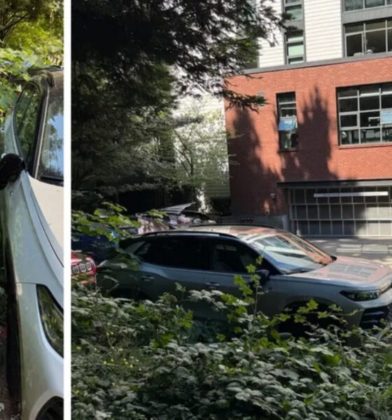 Left: white car wedged in dense bushes with a spare tire beside it.