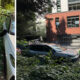 Left: white car wedged in dense bushes with a spare tire beside it.