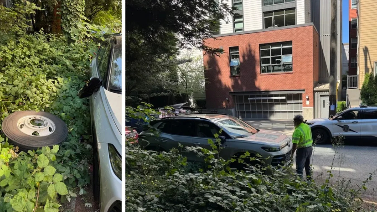 Left: white car wedged in dense bushes with a spare tire beside it.